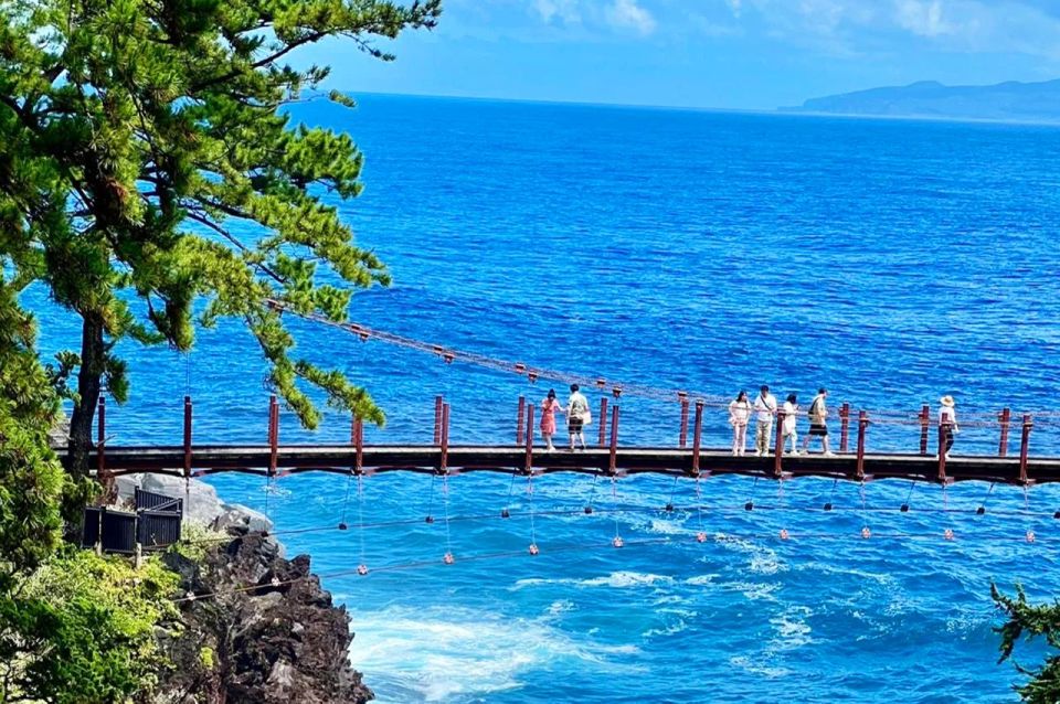 Tokyo: Izu Hydrangea Ocean, Jogasaki Beach & Hot Spring Day - Hydrangea Bloom Experience