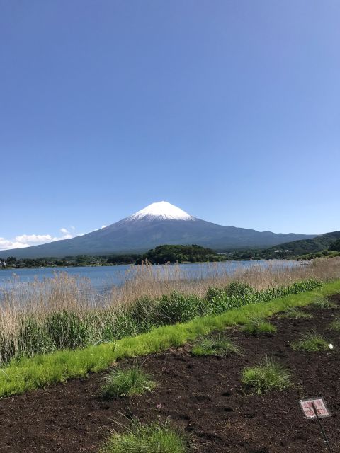Tokyo: Mt Fuji Area Guided Tour With Traditional Lunch - Inclusions