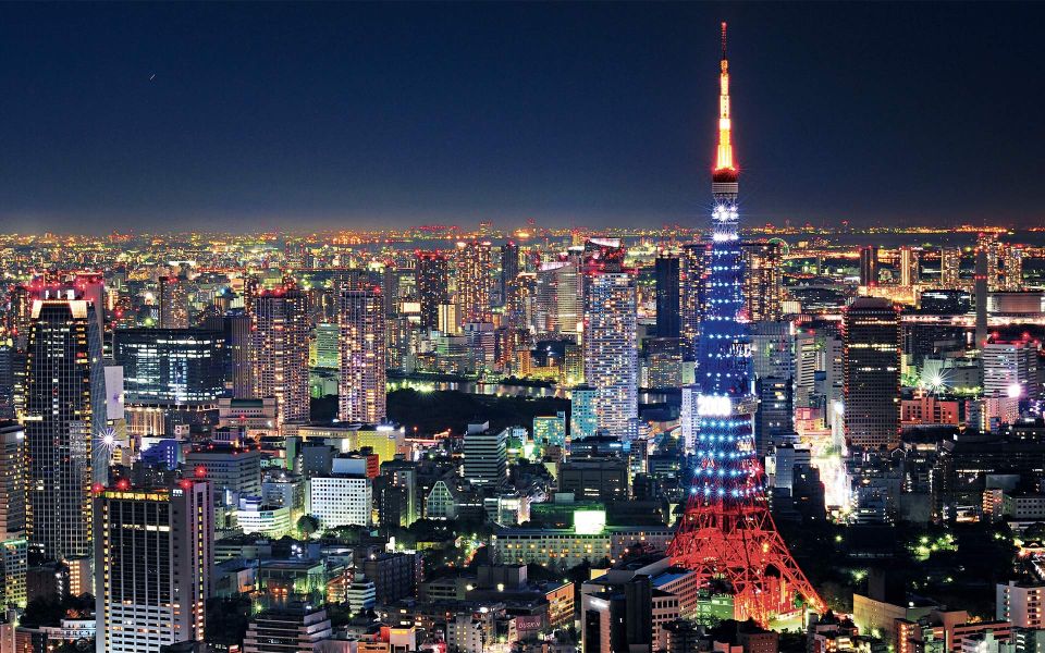 Tokyo Private Sightseeing Customized Day Tour by Car and Van - Exclusions