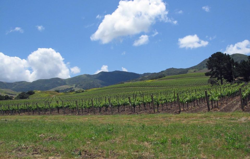 Uncork Santa Barbara: A Private Wine Country Tour - Inclusions