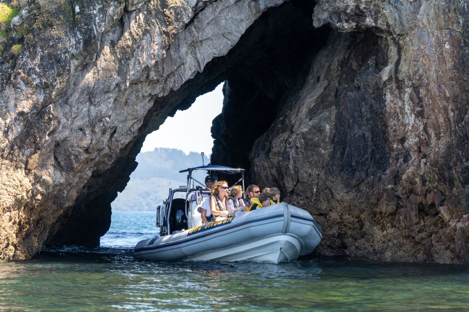 Whitianga: Cathedral Cove, Cruise, Caves and Snorkeling Tour - Customer Reviews
