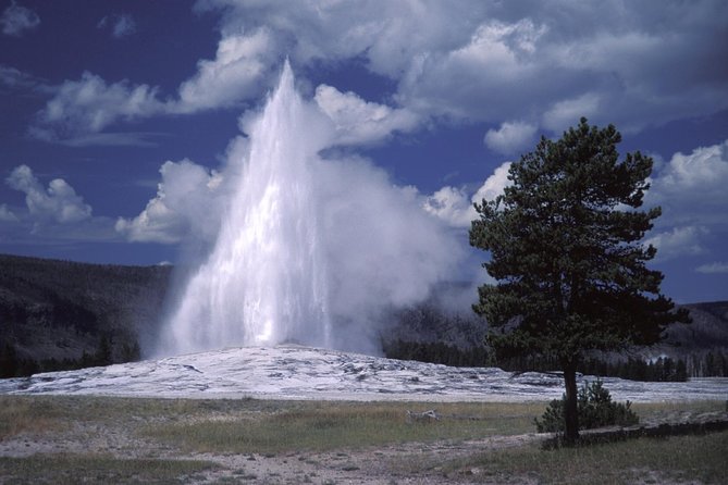 Yellowstone Lower Loop Full-Day Tour - Traveler Reviews and Recommendations