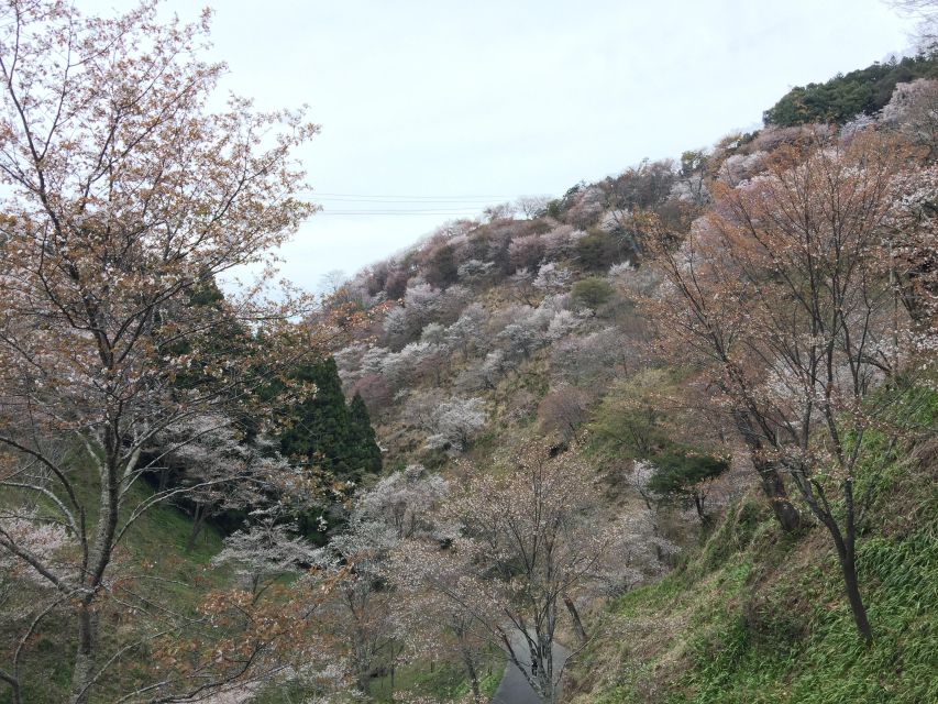 Yoshino: Private Guided Tour & Hiking in a Japanese Mountain - Kinpu Jinja and Guided Tour