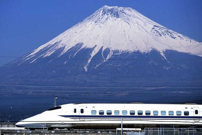 1 Day Charter Tour to Mt Fuji View - Hassle-free Experience