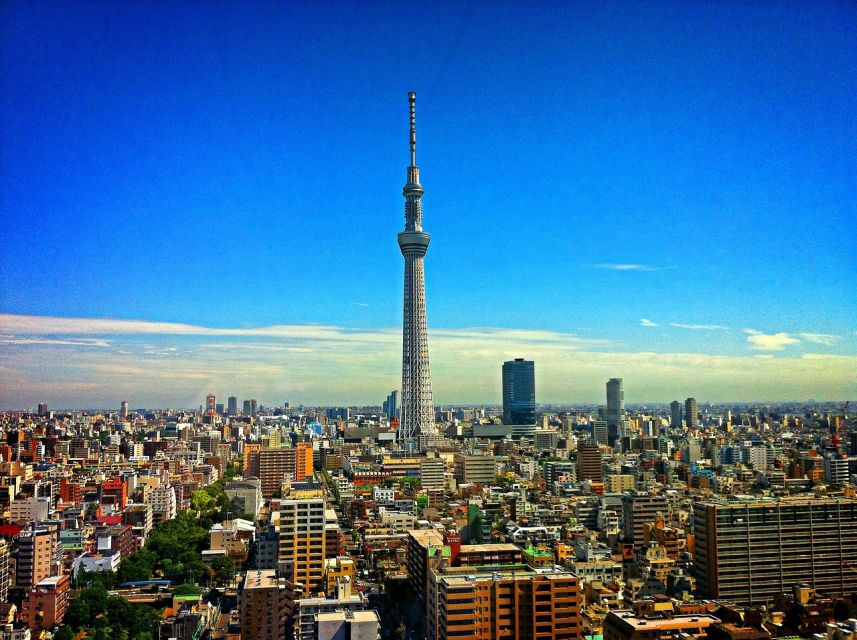 1 Day Tokyo Sightseeing Tour Private Wagon - Customizable Itinerary