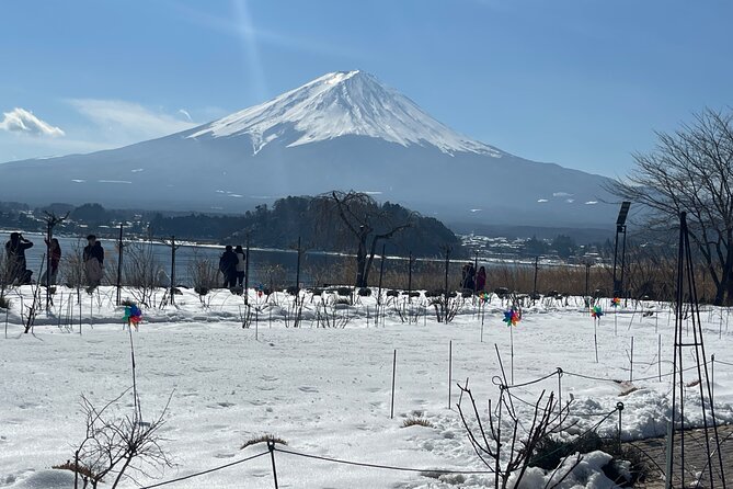 1 Day Tour Mt Fuji,Lake Kawaguchiko With English Speaking Guide - Weather Conditions