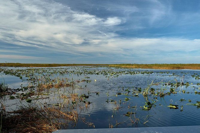 1-Hour Air Boat Ride and Nature Walk With Naturalist in Everglades National Park - Customer Testimonials