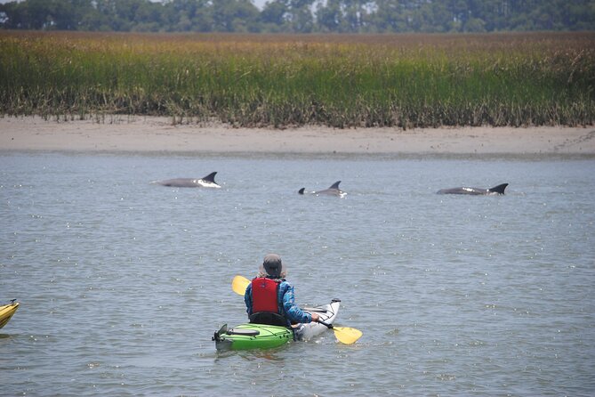 2-Hour Guided Kayak Eco Tour in Charleston - Directions