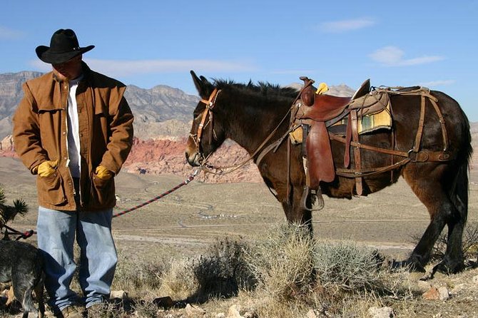 2-Hour Horseback Riding Through Red Rock Canyon - Recap