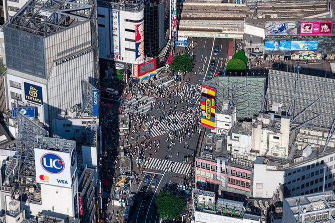 [30Minutes] Asakusa/Tokyo Skytree + Tokyo City Central Tour - Aerial Views of Tokyo