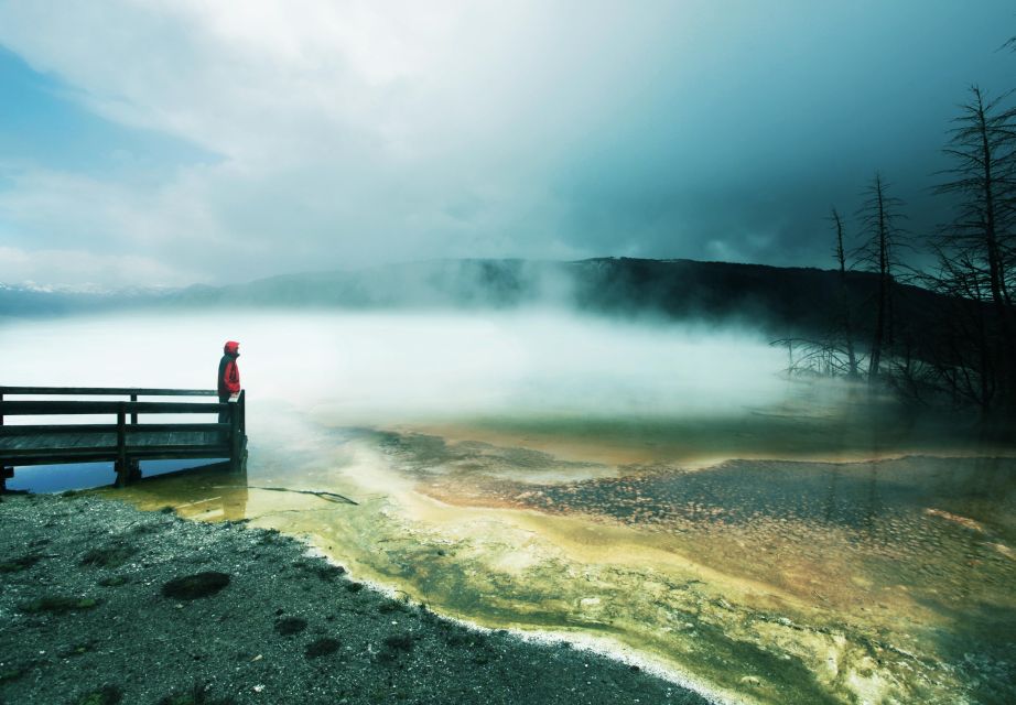 5-Day Winter Yellowstone Wildlife Tour - Booking Recommendations