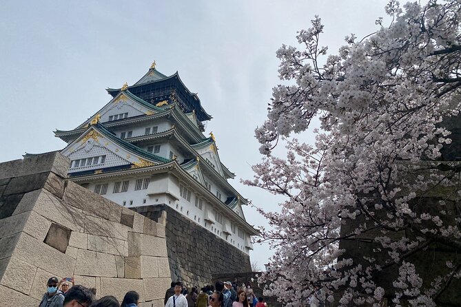 6 Hours Private Foodie Tour From Osaka Castle & Kuromon Market - Special Offer
