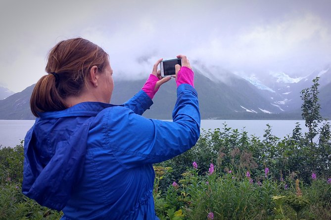 Afternoon Wilderness, Wildlife, Glacier Experience From Anchorage - Important Information