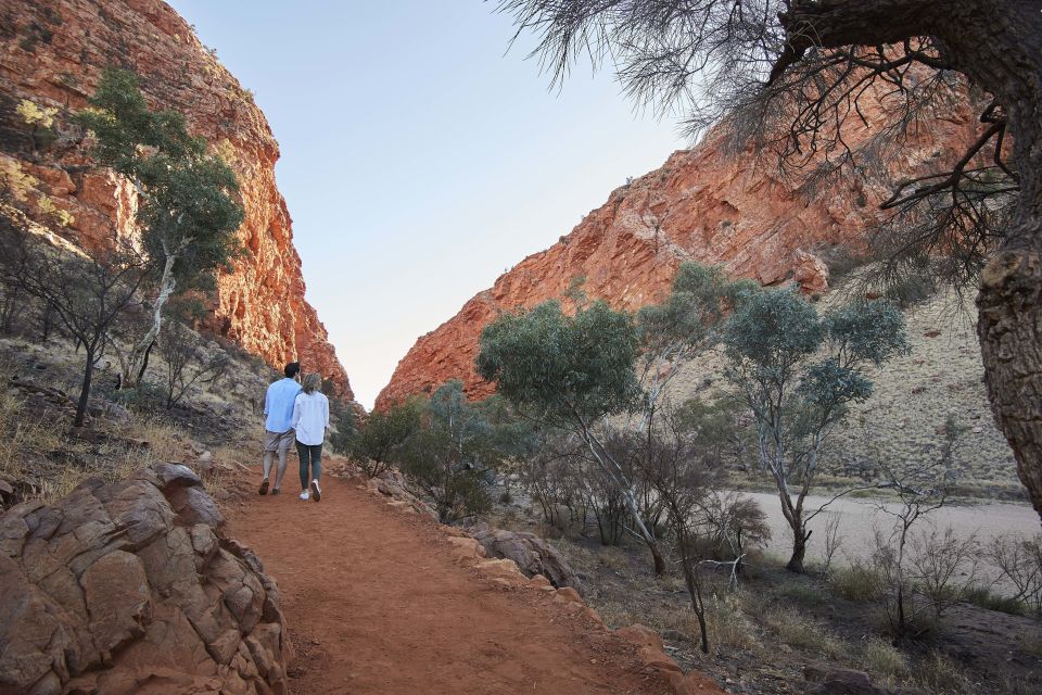 Alice Springs: Town Highlights and West MacDonnell Ranges - Outback Wildlife Encounters