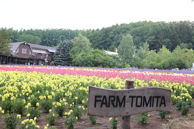 Asahiyama Zoo, Blue Pond, Farm Tomita, Ningle Terrace (from Sapporo) - Ningle Terrace