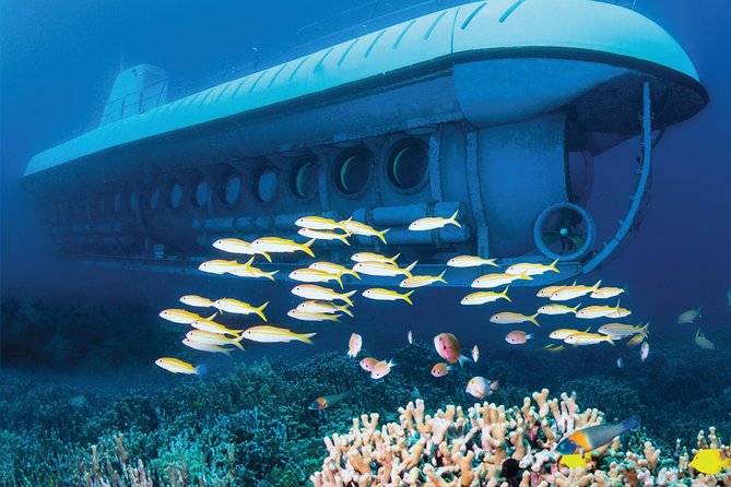 Atlantis Submarine From Kona Beach - Family-Friendly Adventure
