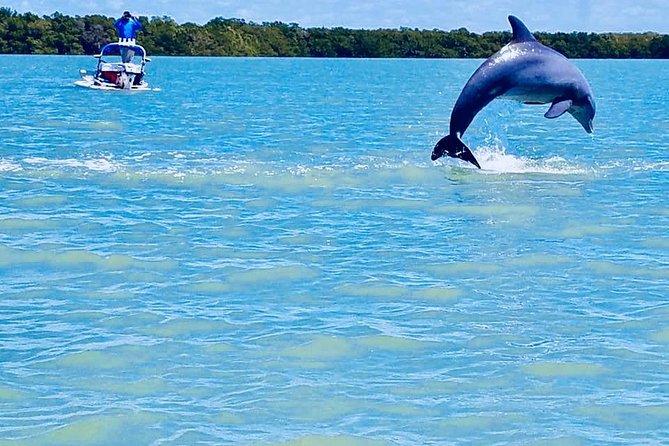 Backwater Adventures CraigCat Tours of the 10,000 Islands - Cancellation Policy