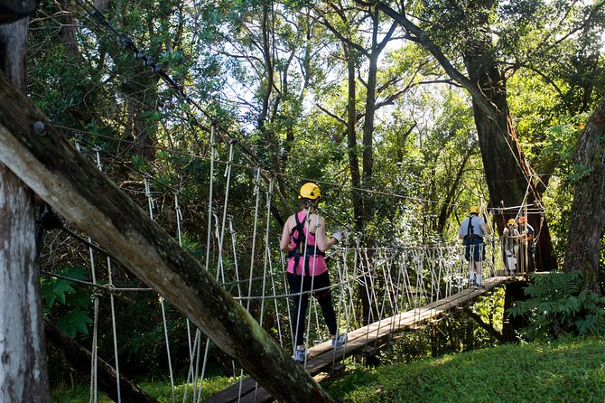 Big Island Kohala Canopy Zipline Adventure - Customer Reviews and Recommendations