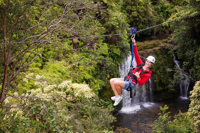 Big Island Zipline Over Kolekole Falls - Location Details