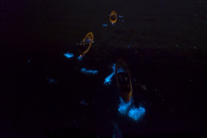 Bioluminescence Kayak Tour - Meeting and End Point