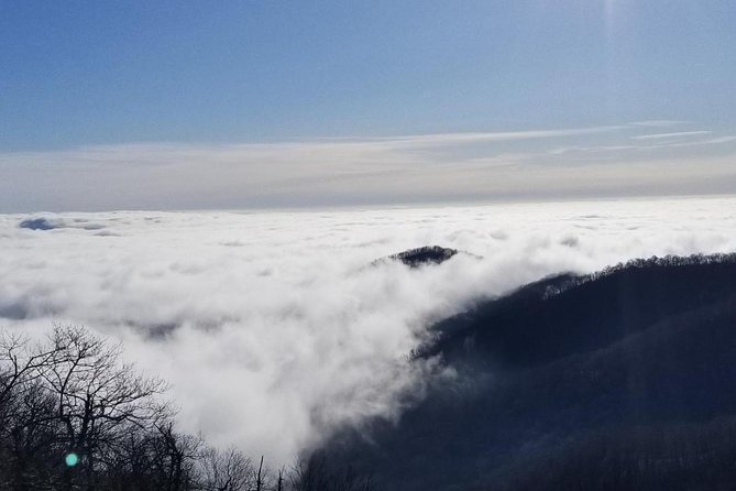 Blue Ridge Parkway Waterfalls Hiking Tour From Asheville - Highlights