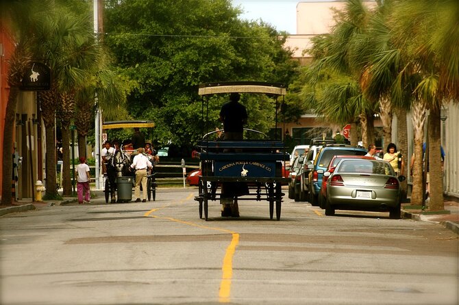 Charleston Horse & Carriage Historic Sightseeing Tour - Customer Experiences