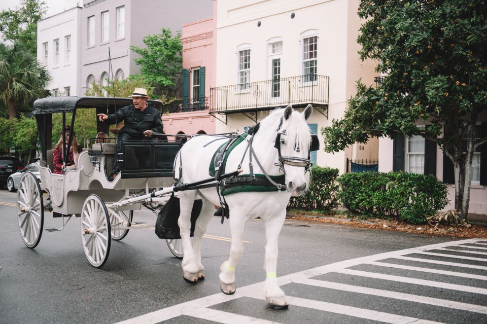 Charleston: Private Carriage Ride - The Palmetto Vis-a-Vis Carriage