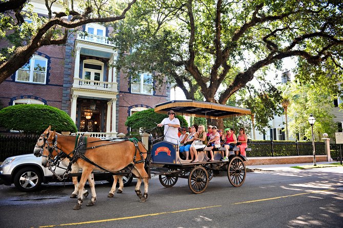 Daytime Horse-Drawn Carriage Sightseeing Tour of Historic Charleston - Reviews