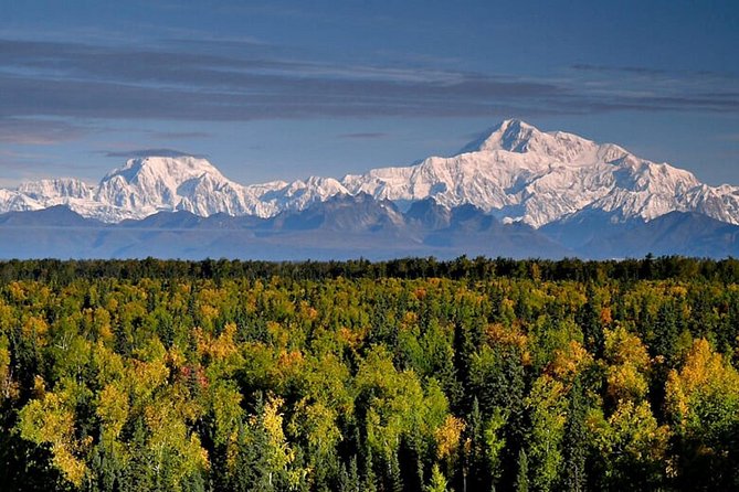 Denali Zipline Tour in Talkeetna, AK - Directions & Parking