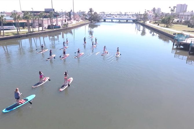 Dolphin and Manatee Stand Up Paddleboard Tour in Daytona Beach - Customer Experiences