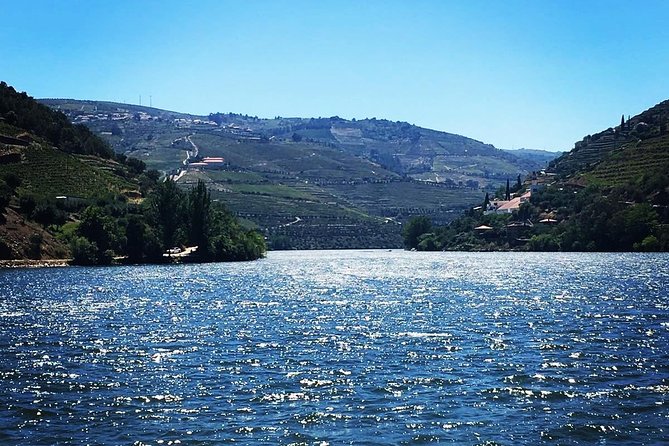 Douro Valley: Food and Wine Small Group Tour From Porto - Small Group Experience