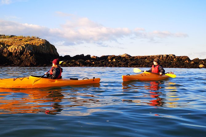 Dublin Bay Seal Kayaking Safari at Dalkey - Tour Group Size and Fitness