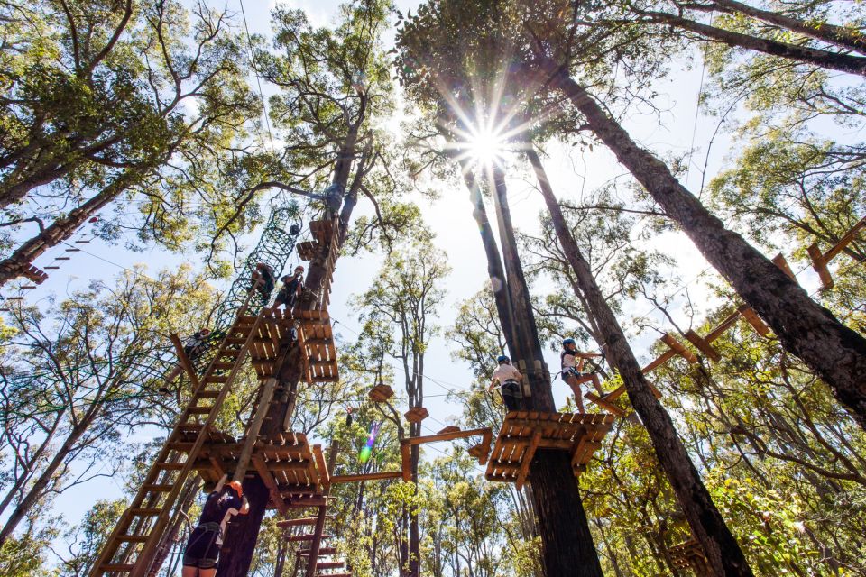 Dwellingup: Tree Ropes Course - Frequently Asked Questions