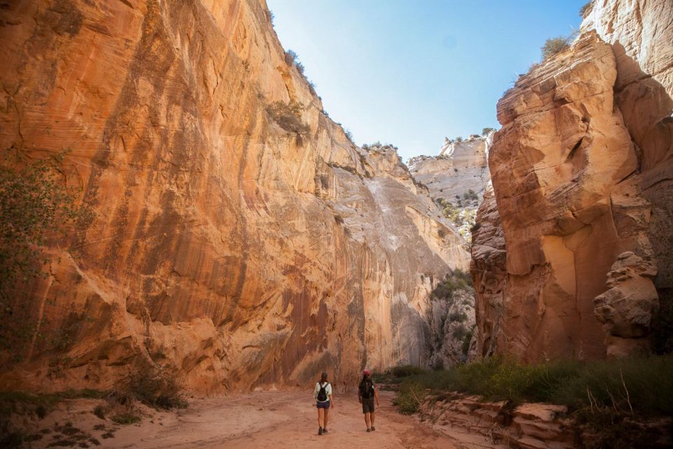 Escalante: Full-Day Private Tour & Hike - How to Book