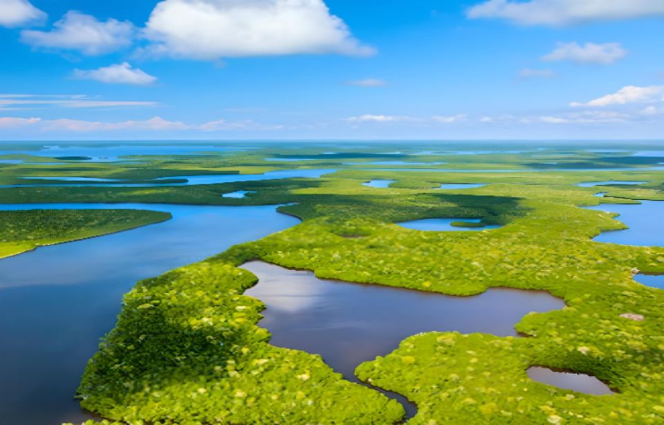 Everglades Immersion Tour: The Ultimate Everglades Adventure - Frequently Asked Questions