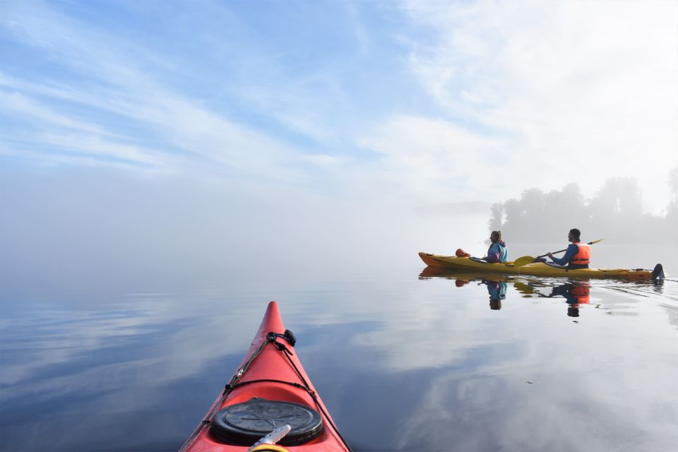 Franz Josef: 3-Hour Kayak Tour on Lake Mapourika - Additional Information