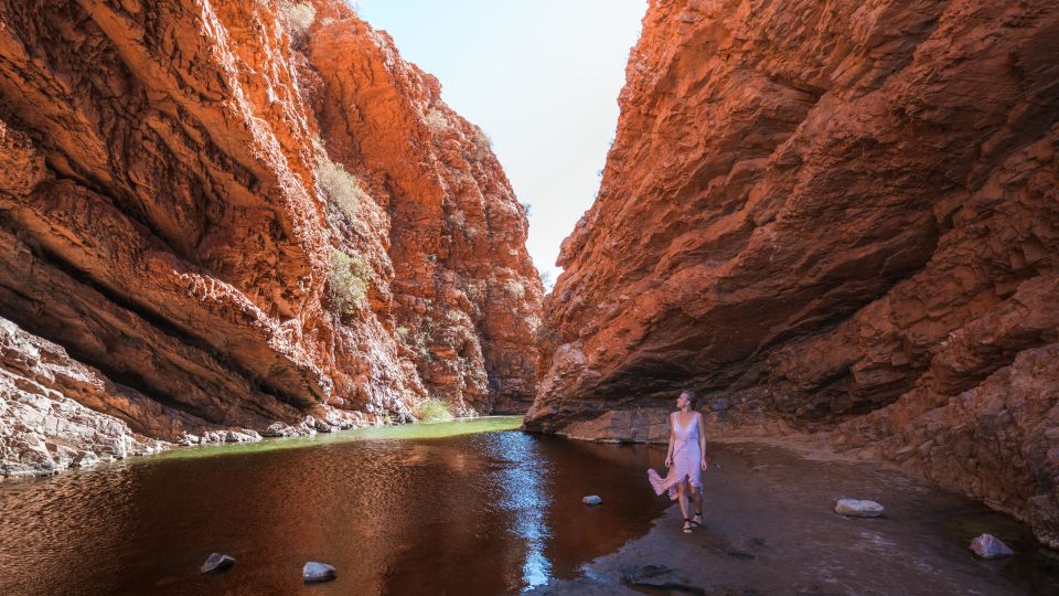 From Alice Springs: West MacDonnell Ranges Half Day Trip - Important Information