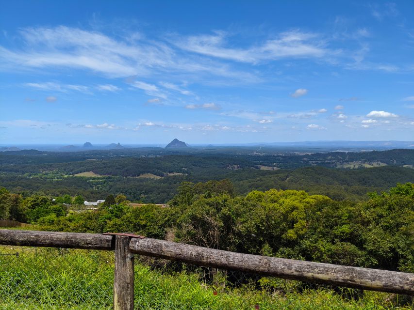 From Brisbane: Day Trip to Noosa, Glass House Mtns and Zoo - Customer Reviews