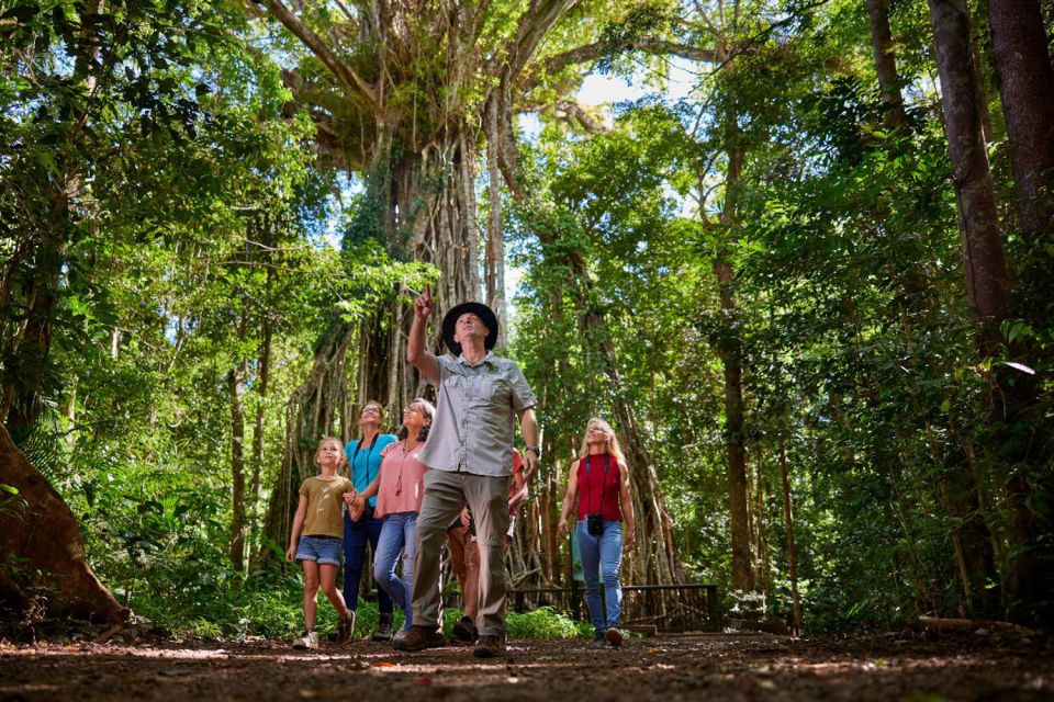 From Cairns: Rainforest & Nocturnal Wildlife Tour - Customer Reviews