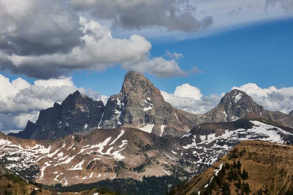 From Jackson: Half-Day Grand Teton National Park Tour - Important Information