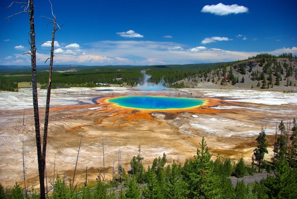 From Jackson: Yellowstone Day Tour Including Entrance Fee - Important Considerations