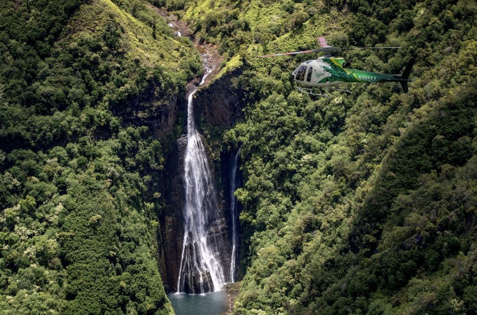 From Lihue: Kauai Sightseeing Helicopter Flight - Olokeke Canyons Rare Flora