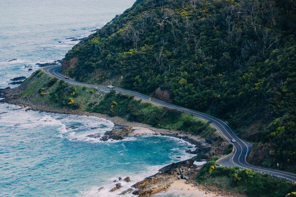 From Melbourne: Great Ocean Road Guided Day Trip - Important Information