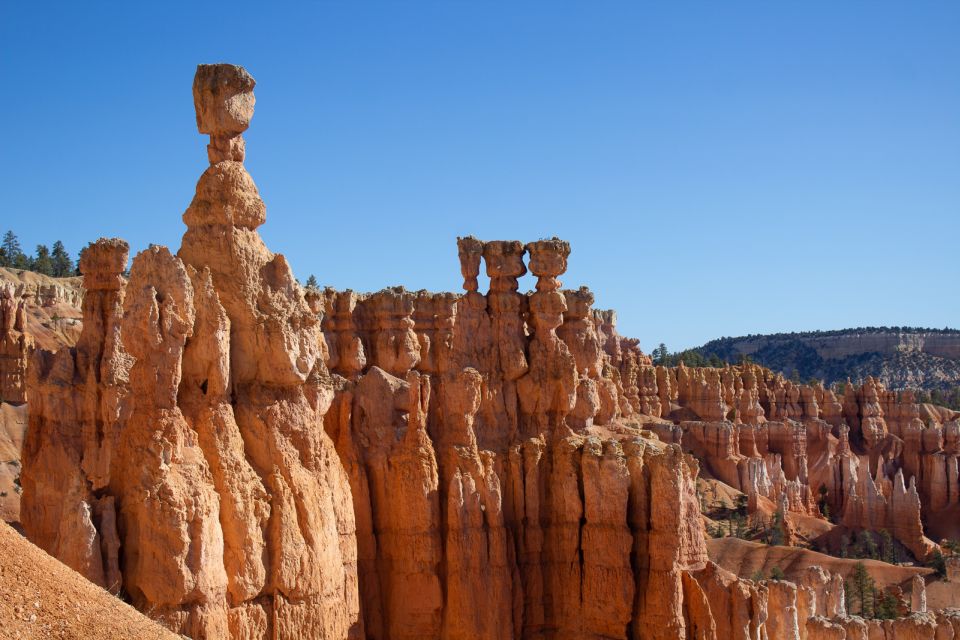 From Salt Lake City: Private Bryce Canyon National Park Tour - Customer Reviews