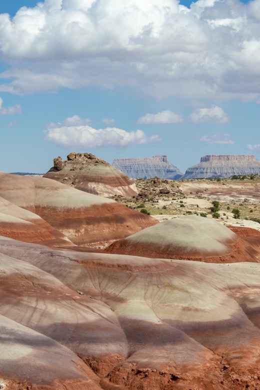 From Salt Lake City: Private Capitol Reef National Park Tour - Customer Reviews