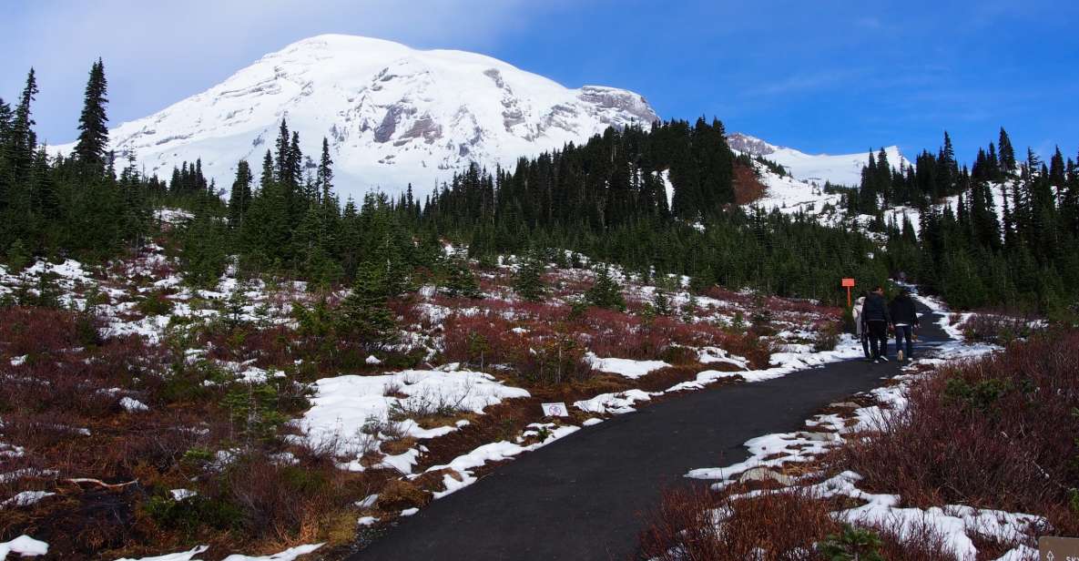 From Seattle: Mount Rainier Full-Day Tour - Mobility Restrictions