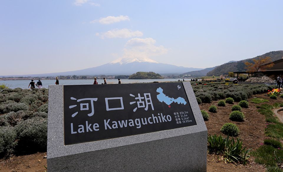 From Tokyo: Mt Fuji and Hakone Customizable Private Day Trip - Highlights of the Day Trip