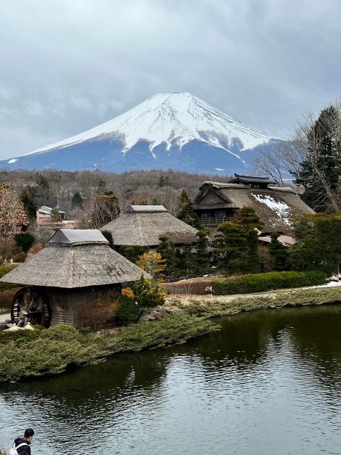 From Tokyo/Yokohama: Private Day Trip to Mt Fuji and Hakone - Experiencing the Hakone Ropeway