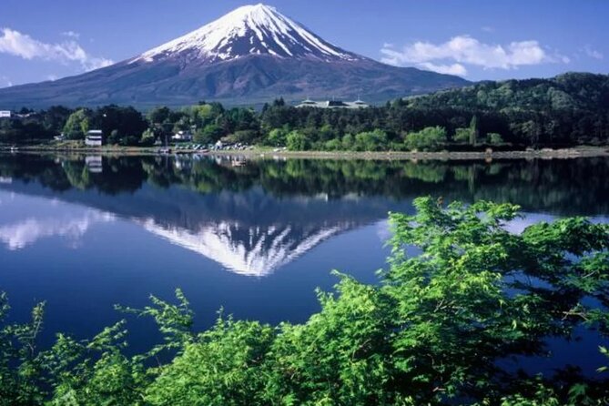 Full Day Private Tour To Mount Fuji Assisted By English Chauffeur - Tour Highlights