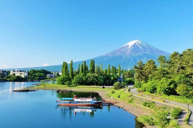 Full Day Private Tour With English Speaking Driver in Mount Fuji - Accessibility and Health Considerations